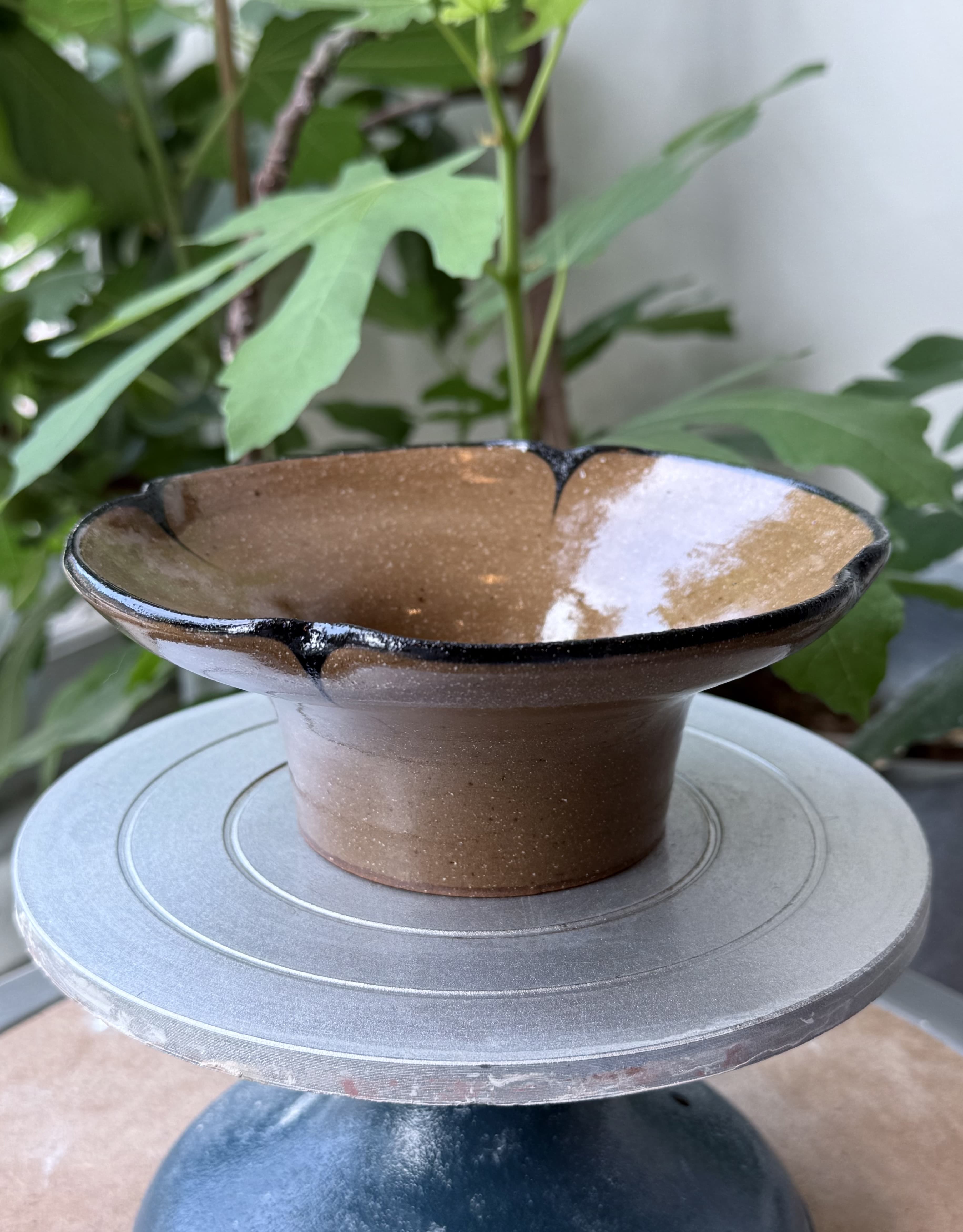 Iris raised plate - Image 1