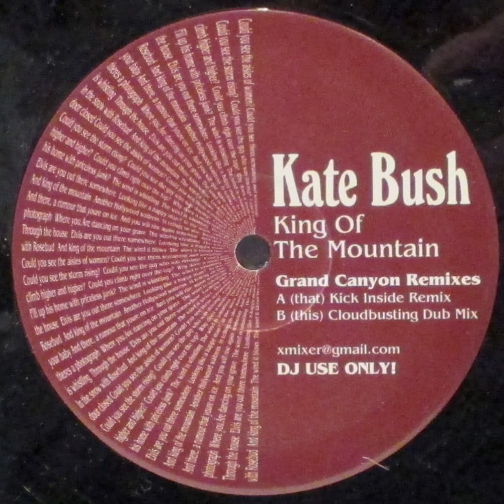 Kate Bush - Image 1