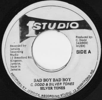 Silver Tones* - Image 1