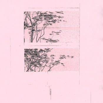 Angelo Harmsworth - Image 1