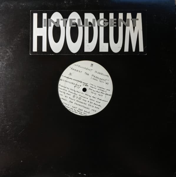 Intelligent Hoodlum - Image 1