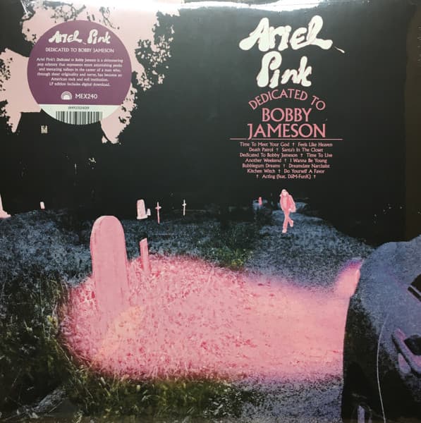 Ariel Pink - Image 1