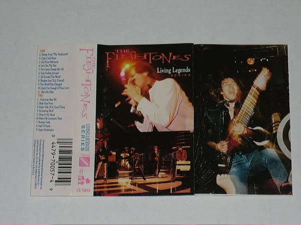 The Fleshtones - Image 1