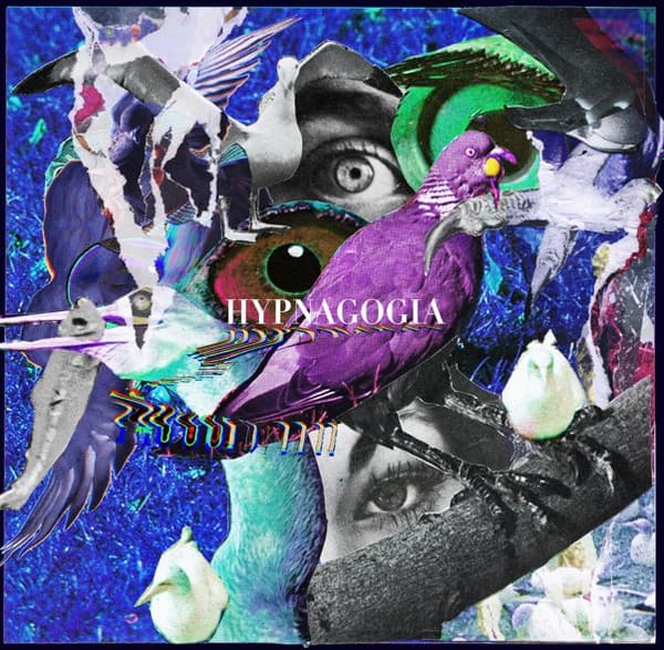 Travis Duo - Image 1