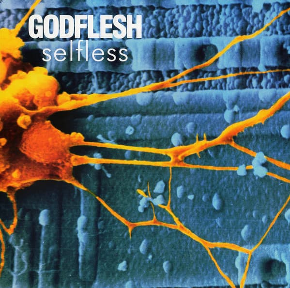 Godflesh - Image 1