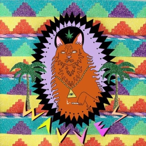 Wavves - Image 1