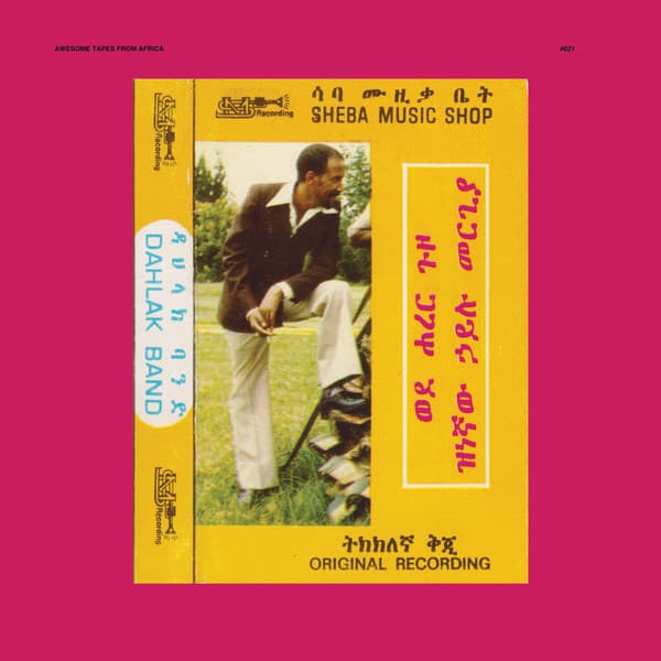 Hailu Mergia & Dahlak Band - Image 1