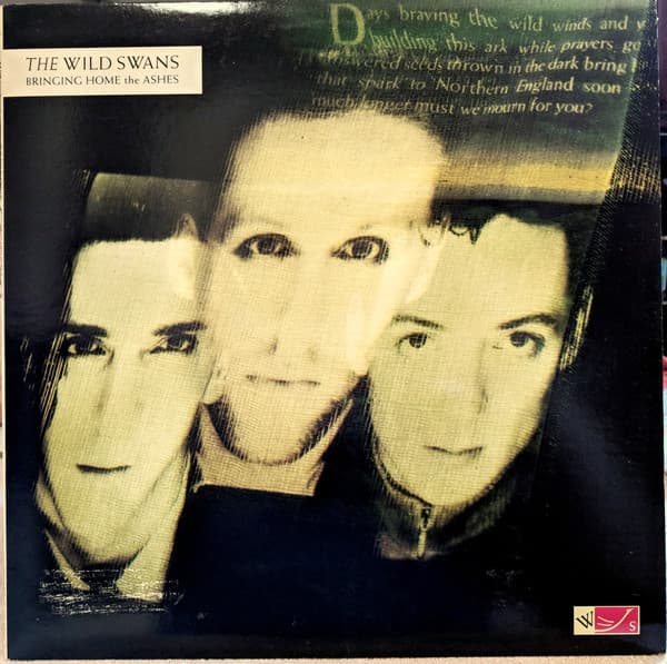 The Wild Swans - Image 1
