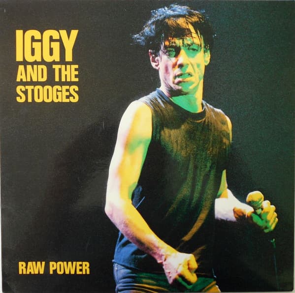 Iggy And The Stooges* - Image 1