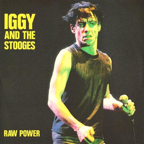 Iggy And The Stooges* - Image 1