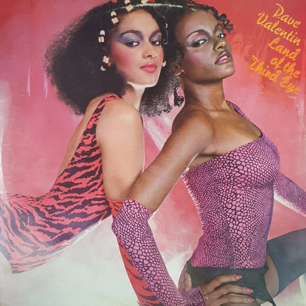Dave Valentin - Image 1