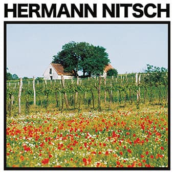 Hermann Nitsch - Image 1
