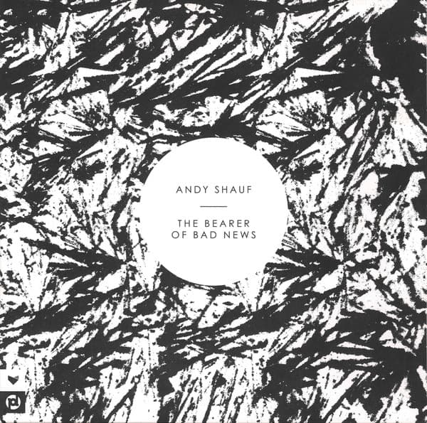 Andy Shauf - Image 1