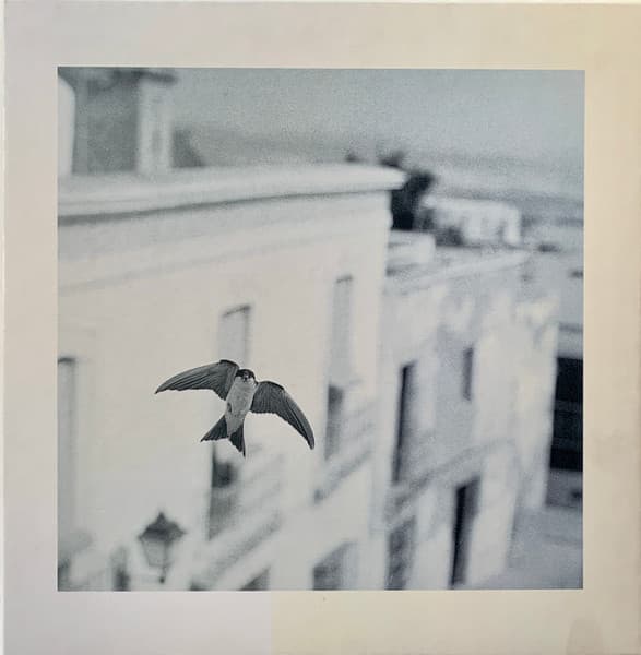 Various - Image 1