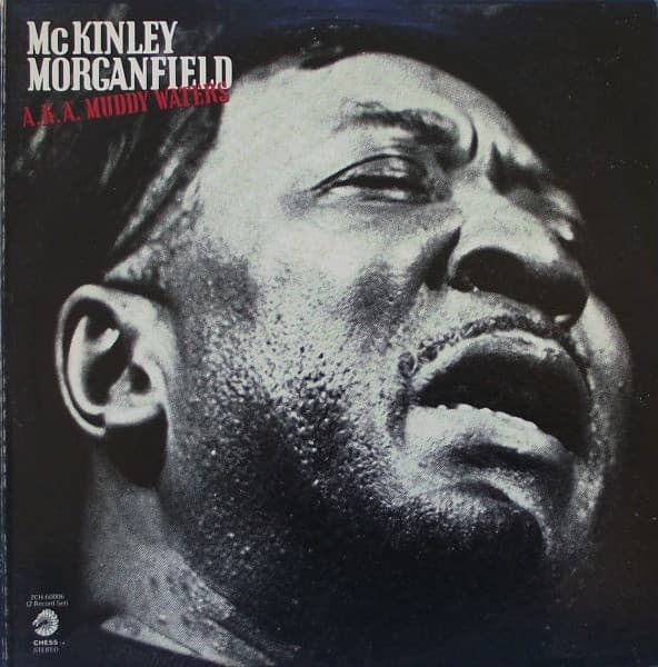 Muddy Waters - Image 1