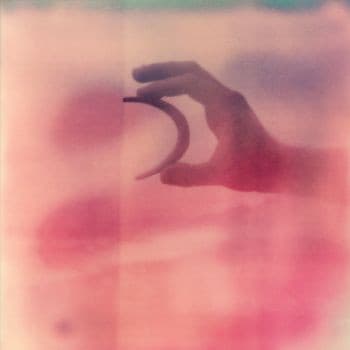 Vestals - Image 1