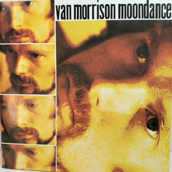 Van Morrison - Image 1
