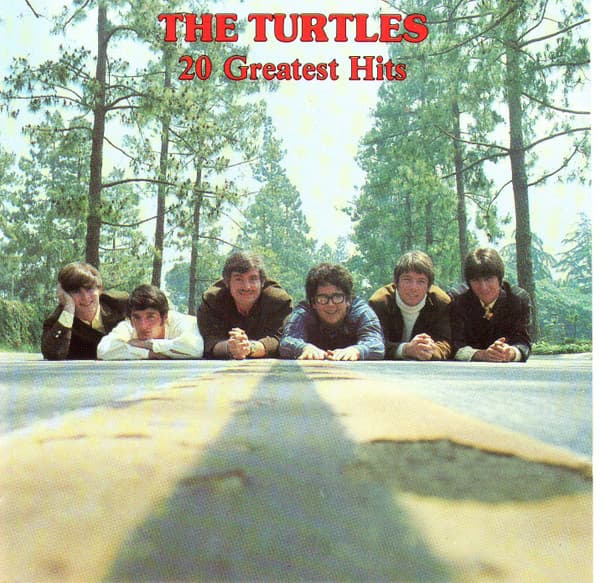 The Turtles - Image 1