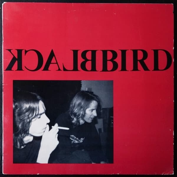 Blackbird - Image 1