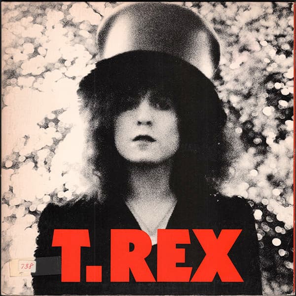 T. Rex - Image 1