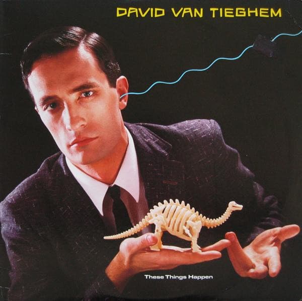 David Van Tieghem - Image 1