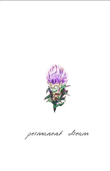 Milk Thistle - Image 1