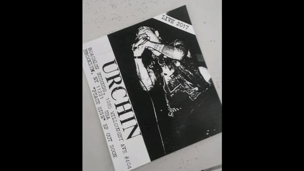 Urchin (4) - Image 1