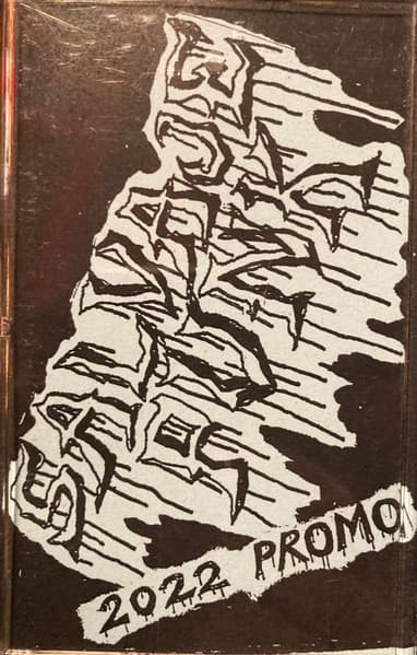 Salvaje Punk - Image 1