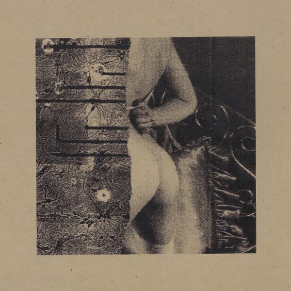 Lapse - Image 1