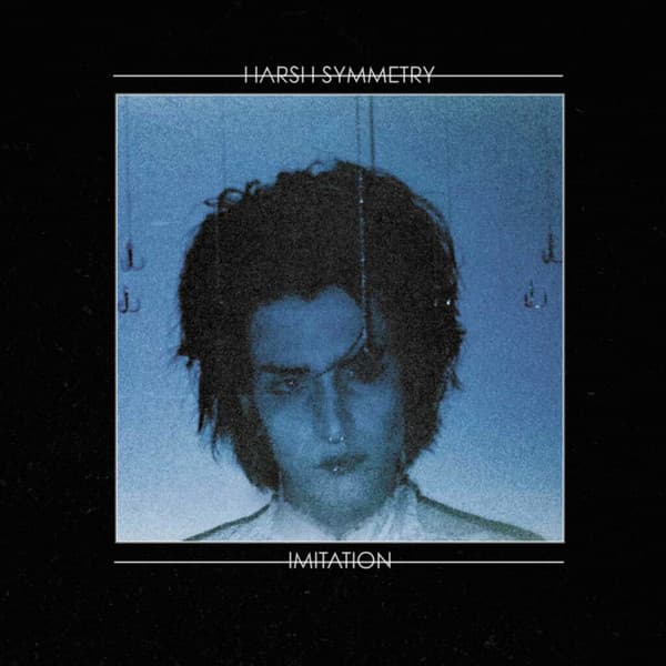 Harsh Symmetry - Image 1