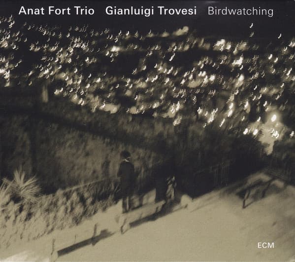 Anat Fort Trio, Gianluigi Trovesi - Image 1