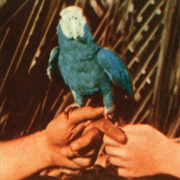 Andrew Bird - Image 1