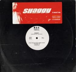 Shaggy - Image 1