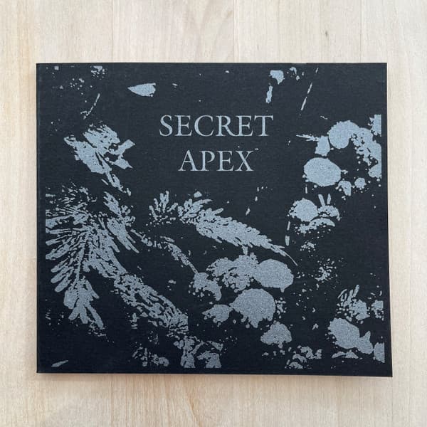 Secret Apex - Image 1