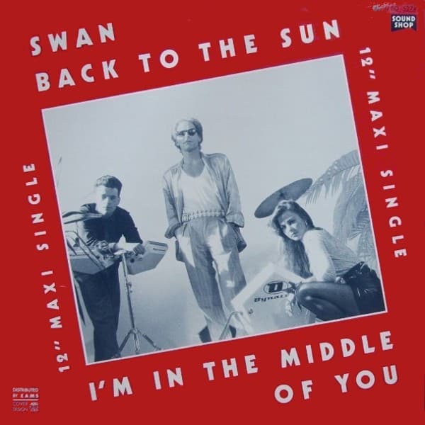 Swan (16) - Image 1