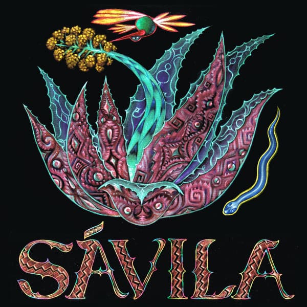 Sávila - Image 1