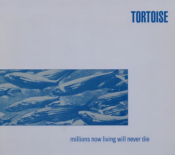 Tortoise - Image 1