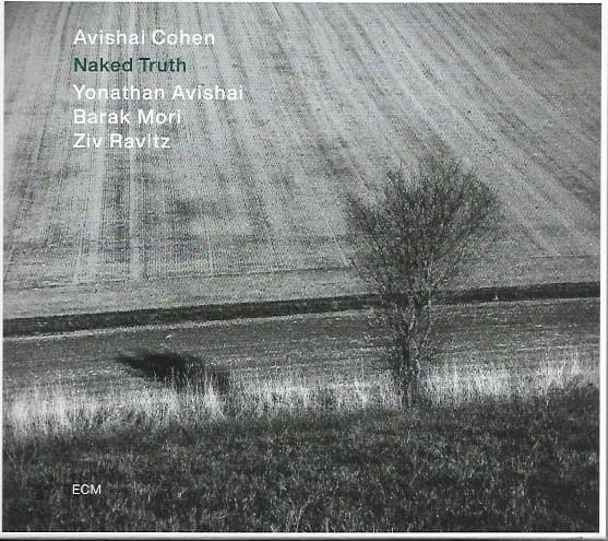 Avishai Cohen*, Yonathan Avishai, Barak Mori, Ziv Ravitz - Image 1