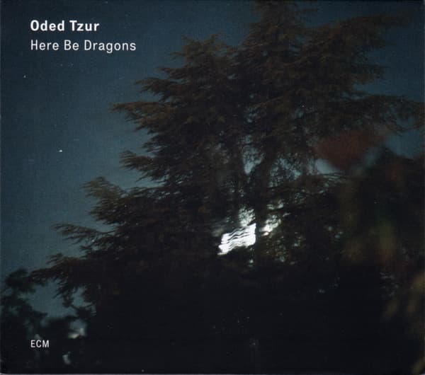 Oded Tzur - Image 1