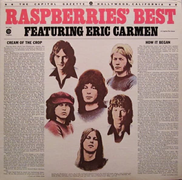 Raspberries - Image 1