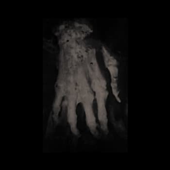 Jason Hodge - Image 1