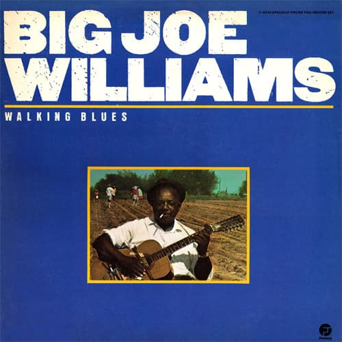 Big Joe Williams - Image 1