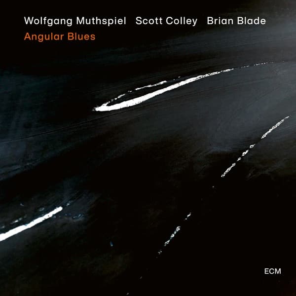 Wolfgang Muthspiel, Scott Colley, Brian Blade - Image 1