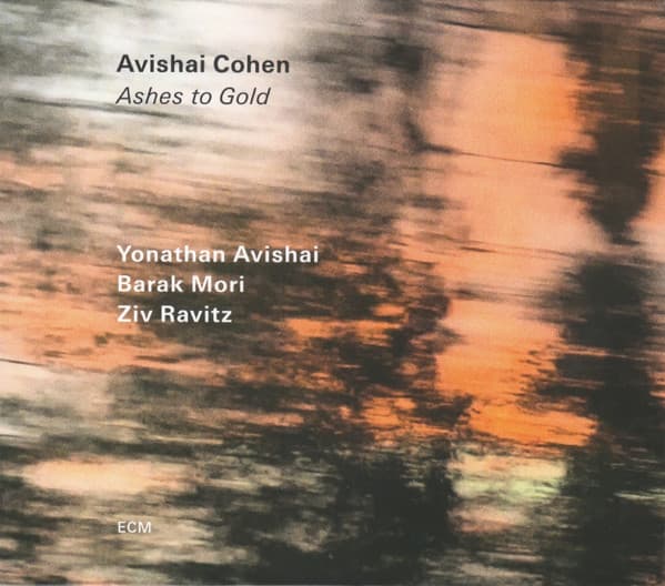 Avishai Cohen* - Image 1