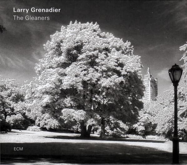 Larry Grenadier - Image 1