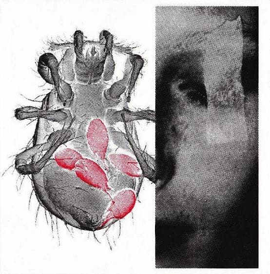 Pharmakon / Deterge - Image 1