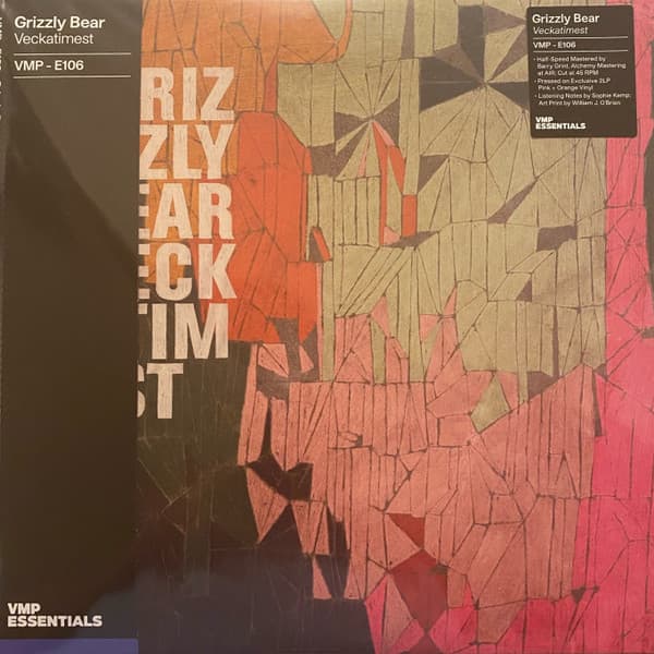 Grizzly Bear - Image 1