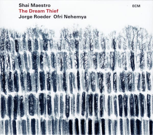 Shai Maestro - Image 1
