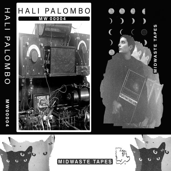 Hali Palombo - Image 1