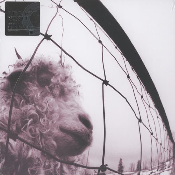 Pearl Jam - Image 1